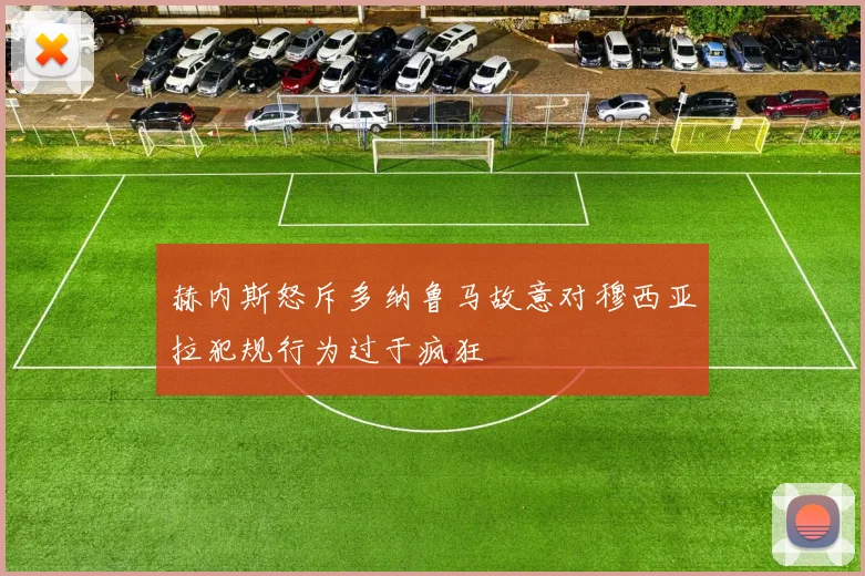 赫内斯怒斥多纳鲁马故意对穆西亚拉犯规行为过于疯狂